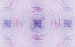 2014 04 30 Webs and Things 44-white.jpg